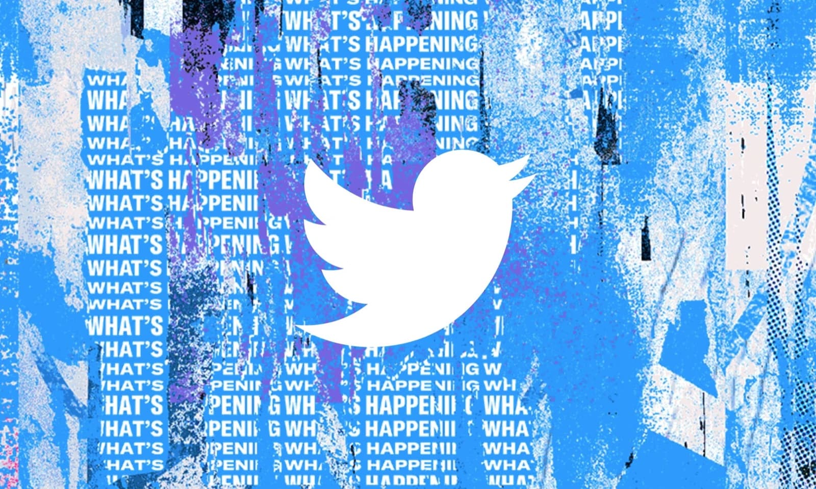 Twitter (X)